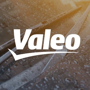 Automotive-Valeo@3x-100