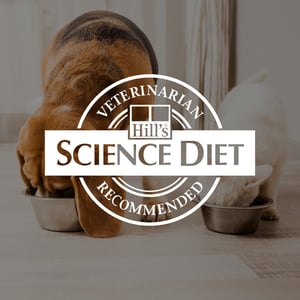 Companion_Pet-HillsScienceDiet@3x-100