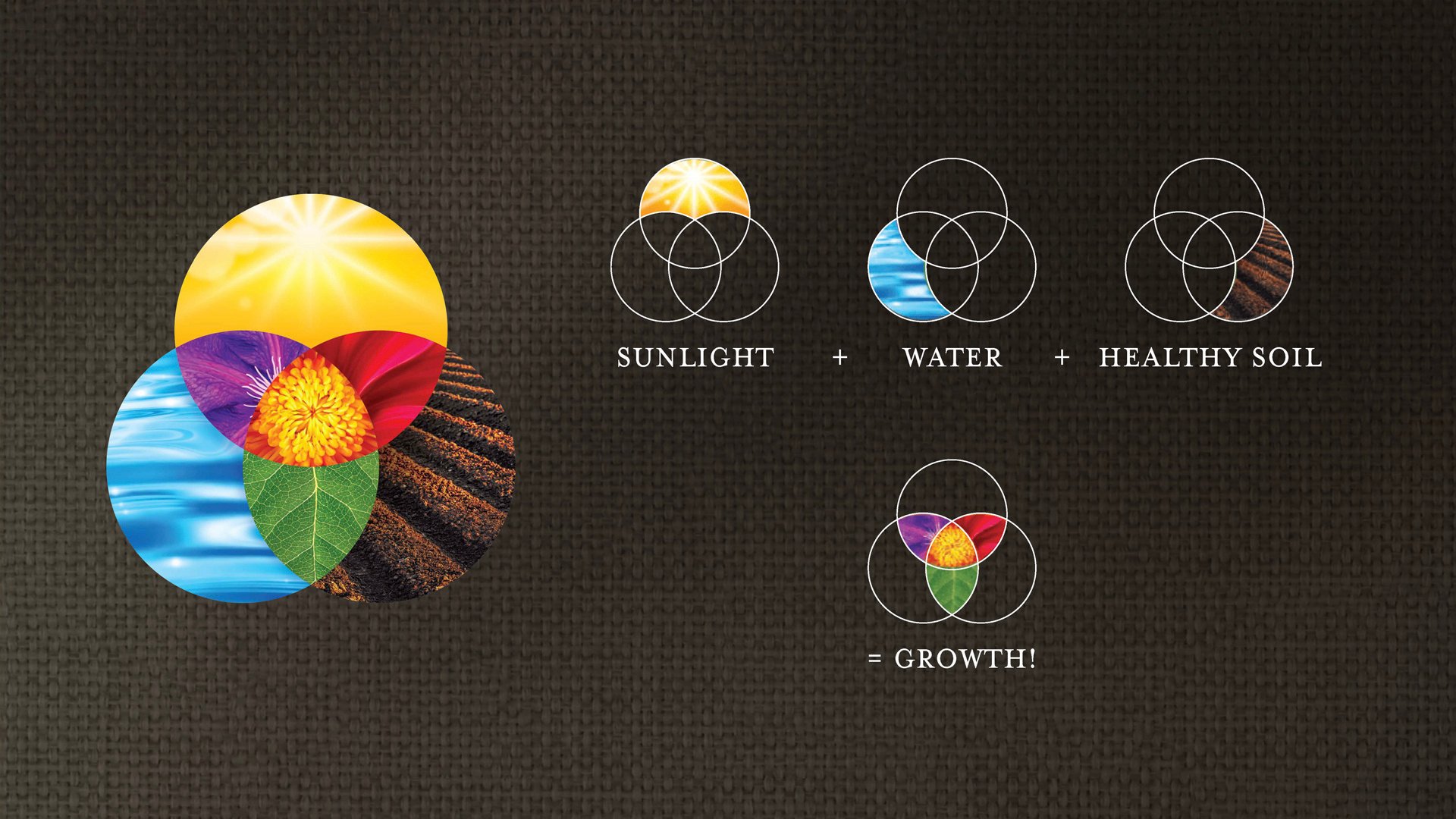 FD_Web_Layout_Earth_Science_1920x1080_2