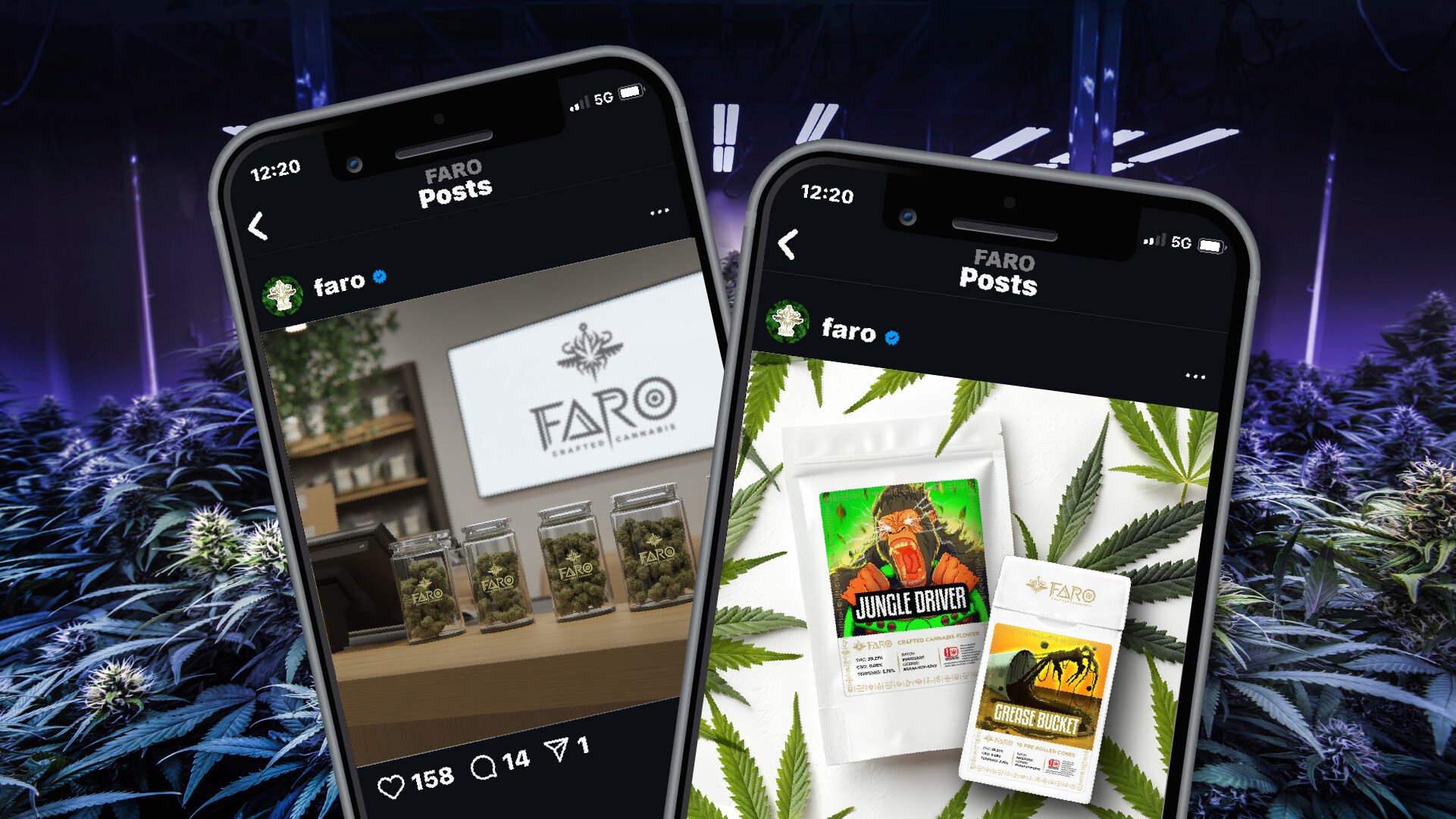 FARO_Fisher_Design_Social_Posts-80