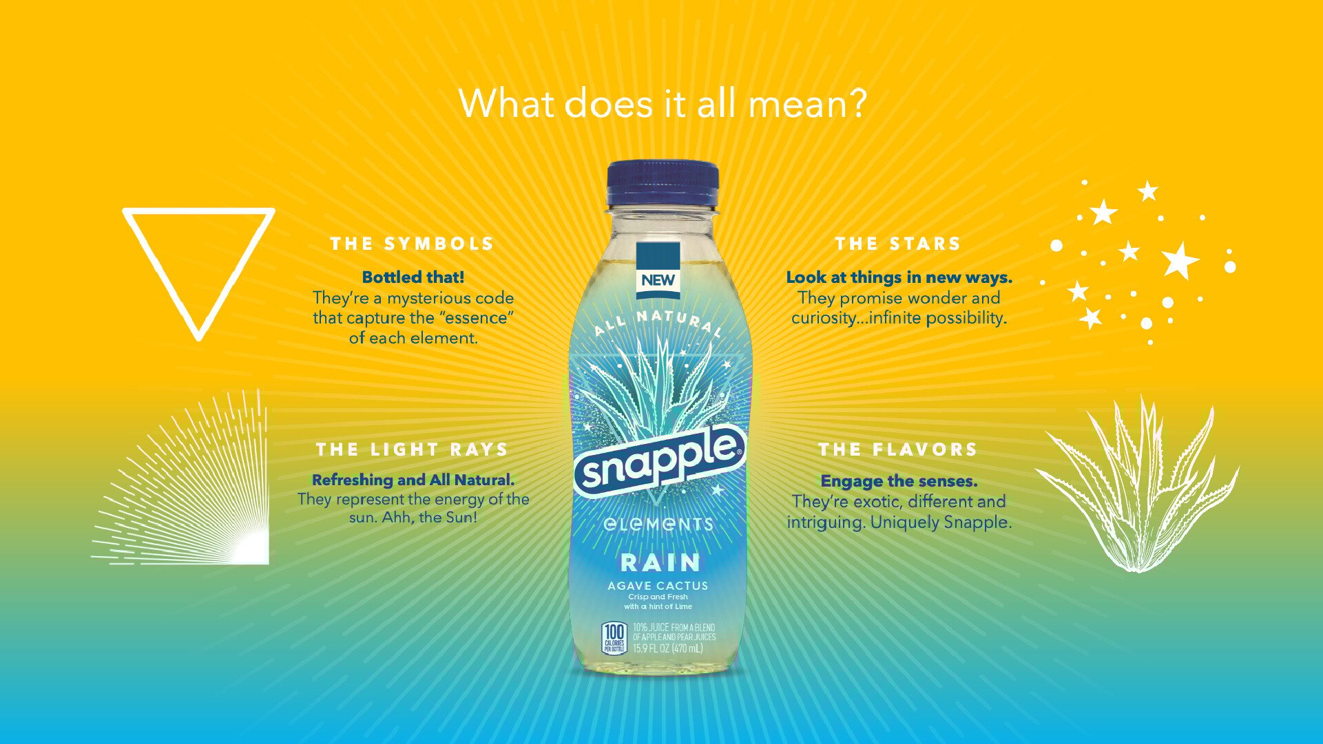 Snapple_Elements_Fisher_Design_What_Does_It_All_Mean-80
