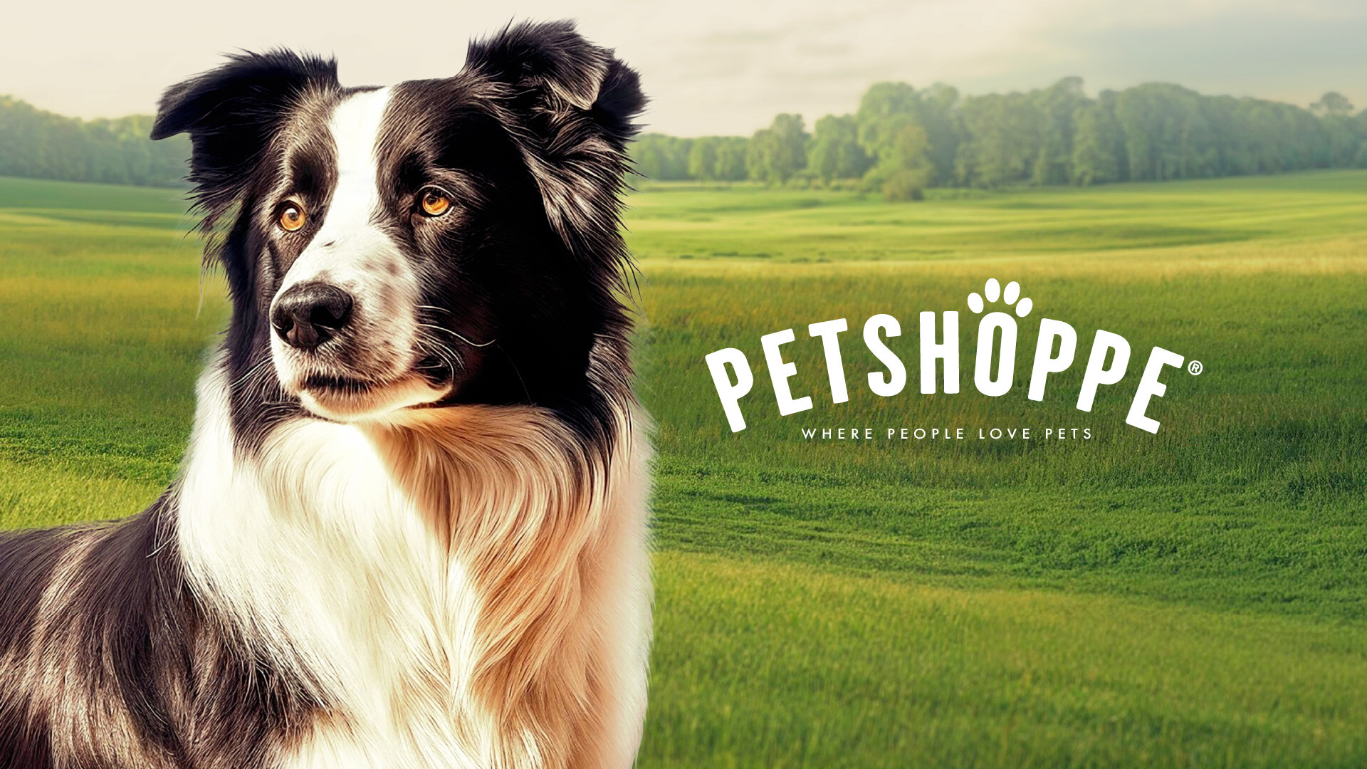 FD_Web_Layout_PetShoppe_Logo-wBorderColl_1920x1080-80
