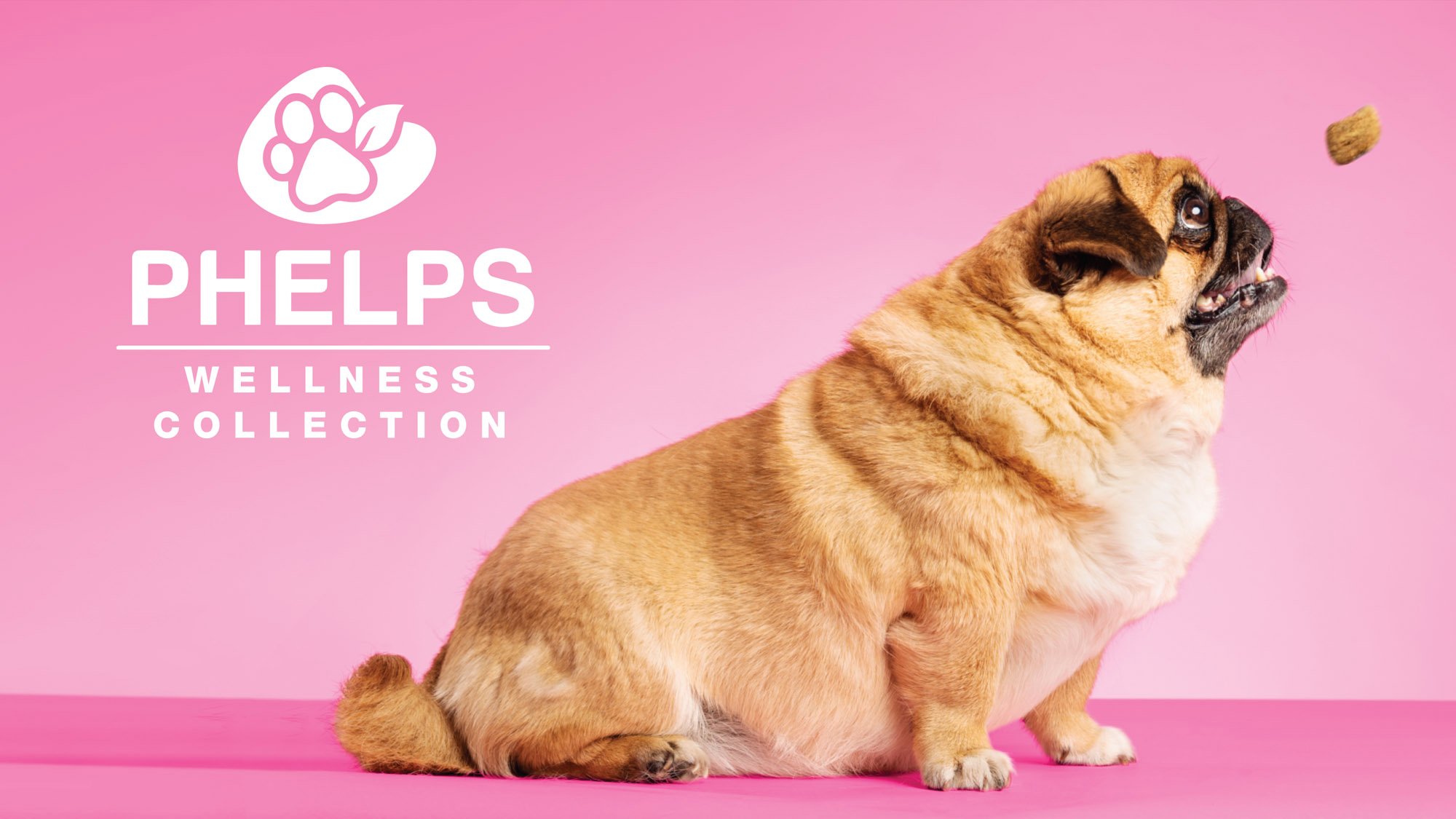 FatPug FatPug
