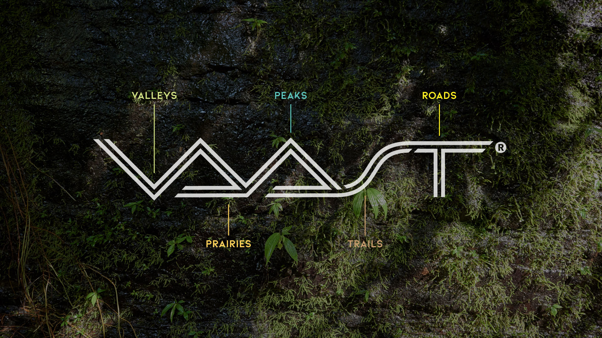 FD_Web_Layout_VAAST_1920x1080_21 FD_Web_Layout_VAAST_1920x1080_21