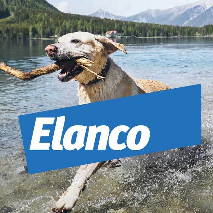 Elanco – Packaging Design